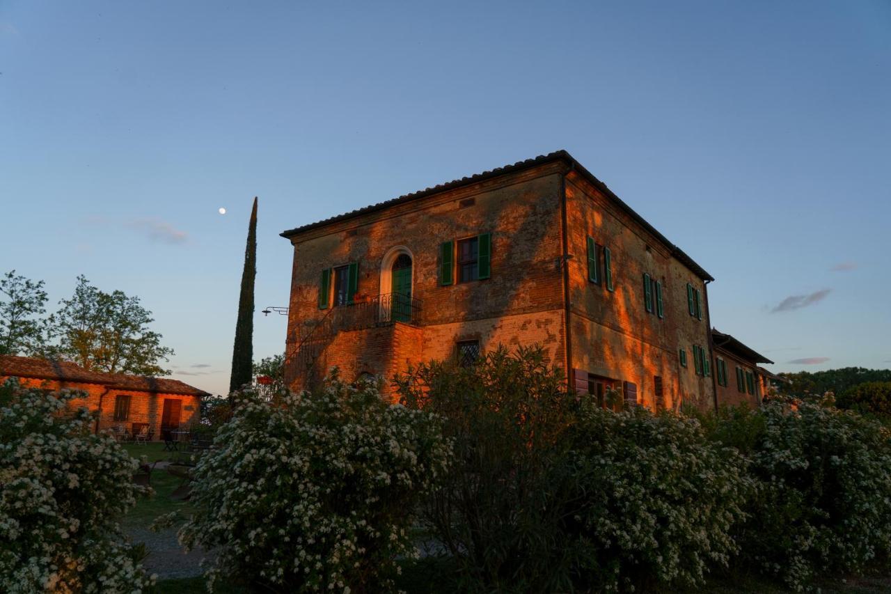 Cozzano Alojamento de Turismo Rural