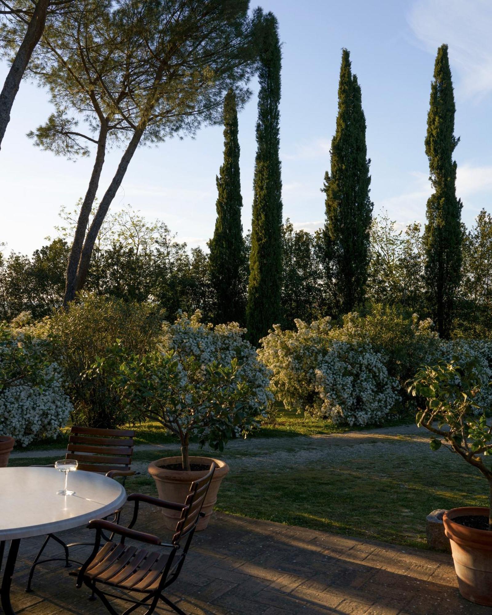 Farm stay Cozzano *