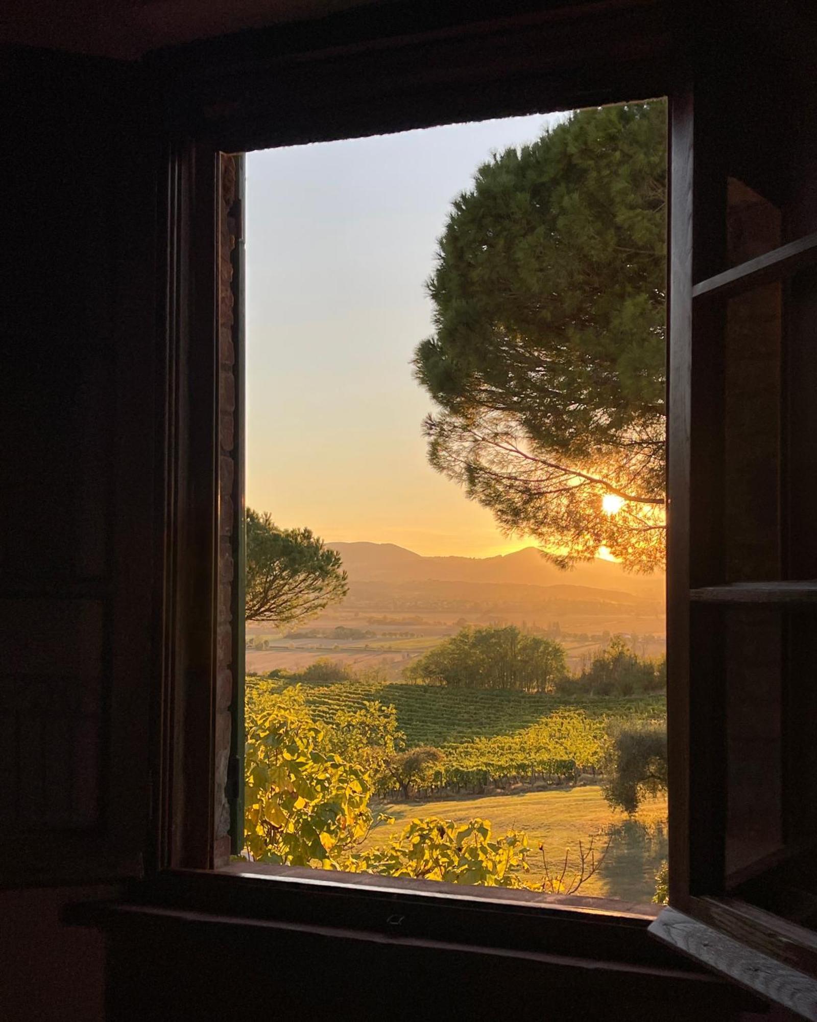 Farm stay Cozzano *