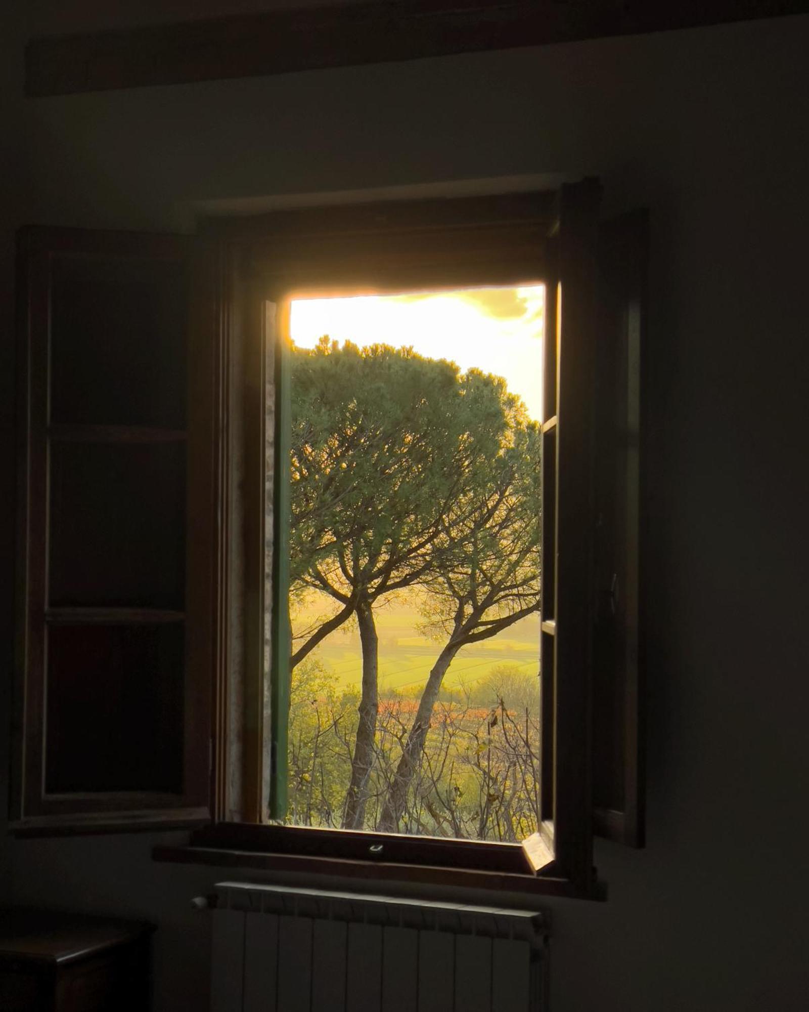 Farm stay Cozzano *