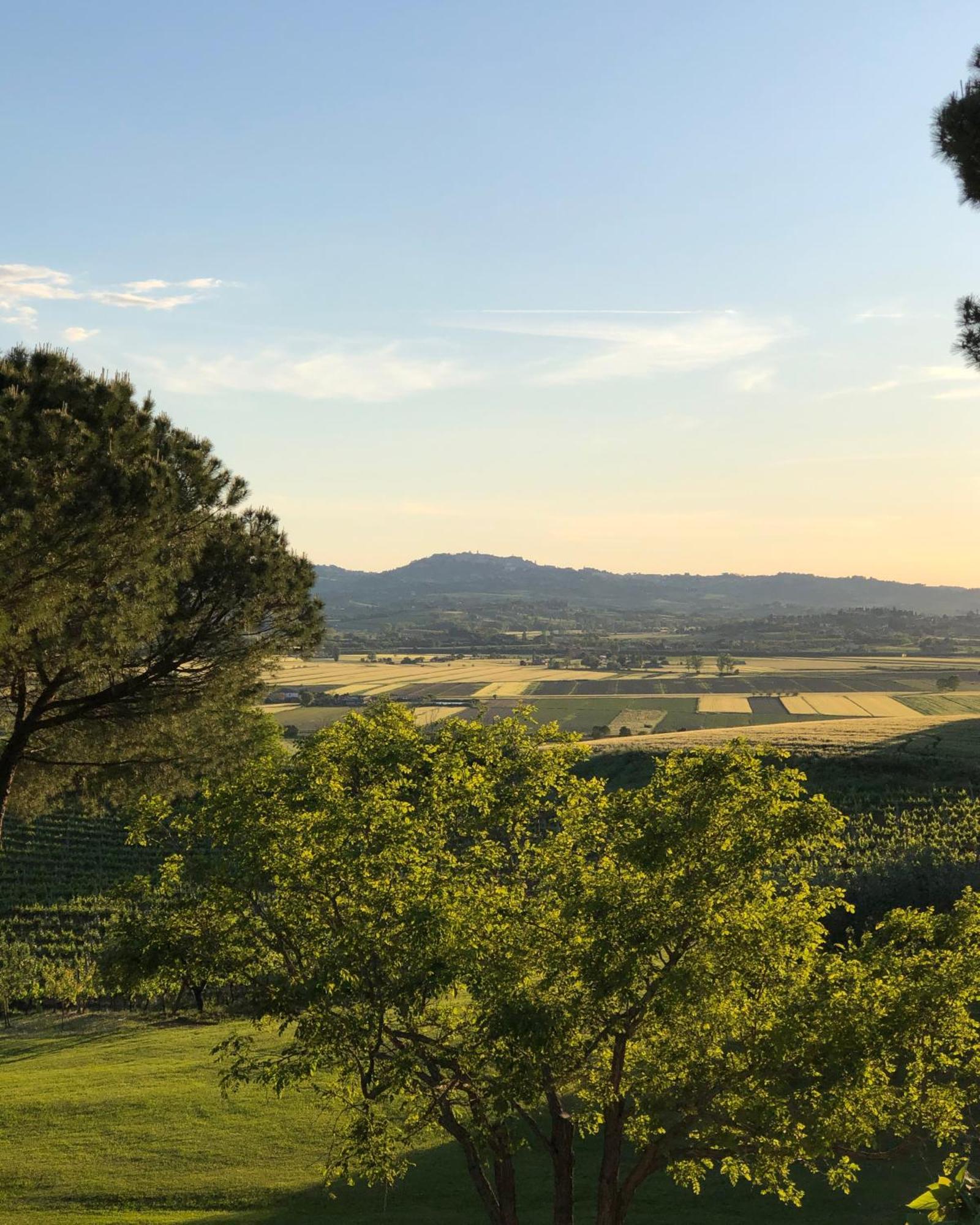 Alojamento de Turismo Rural Cozzano Pozzuolo