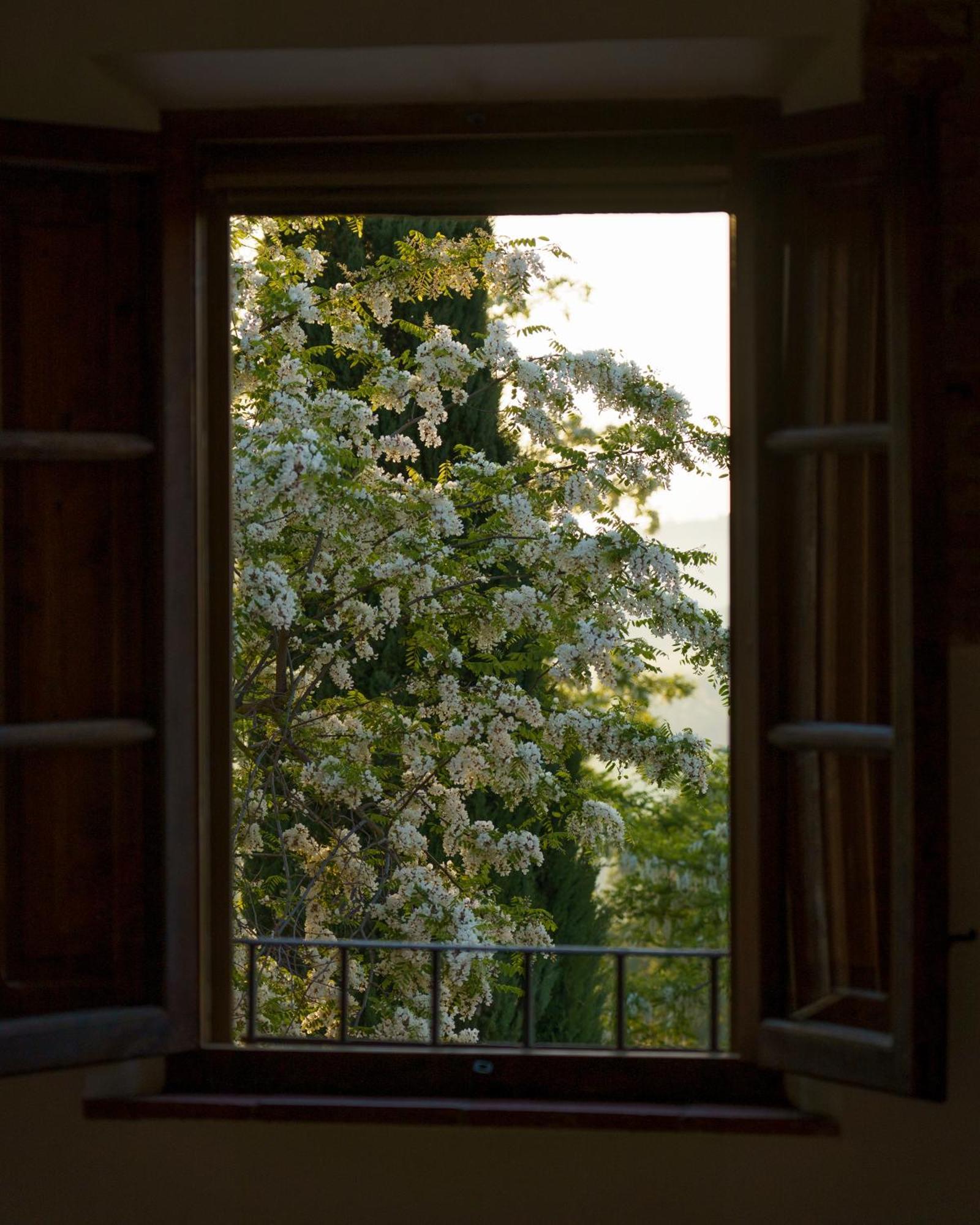 Cozzano Farm stay *