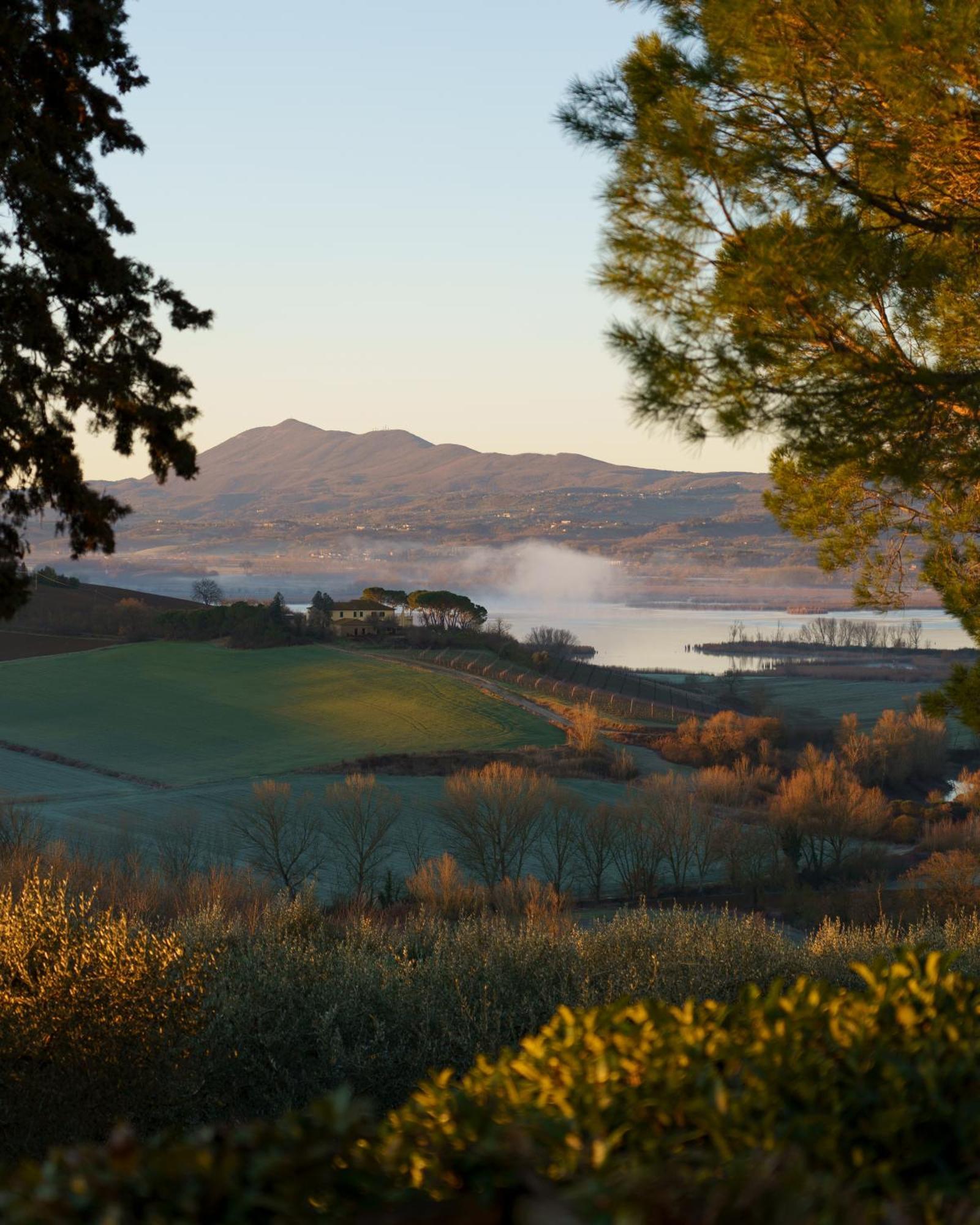 Cozzano Farm stay *