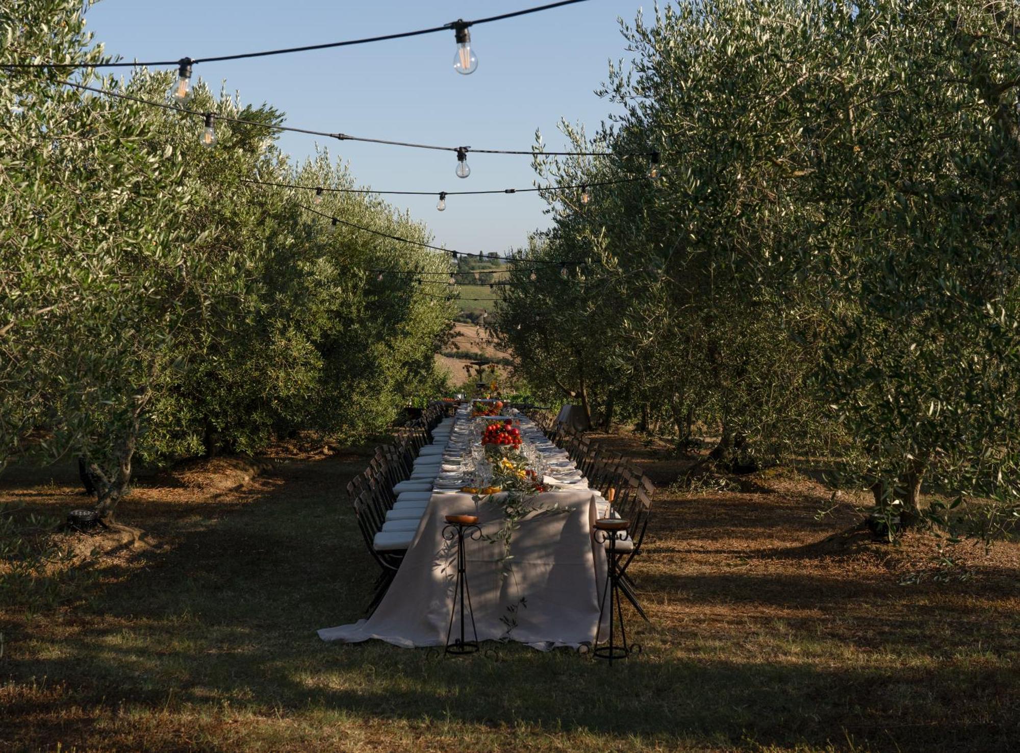 Cozzano * Pozzuolo
