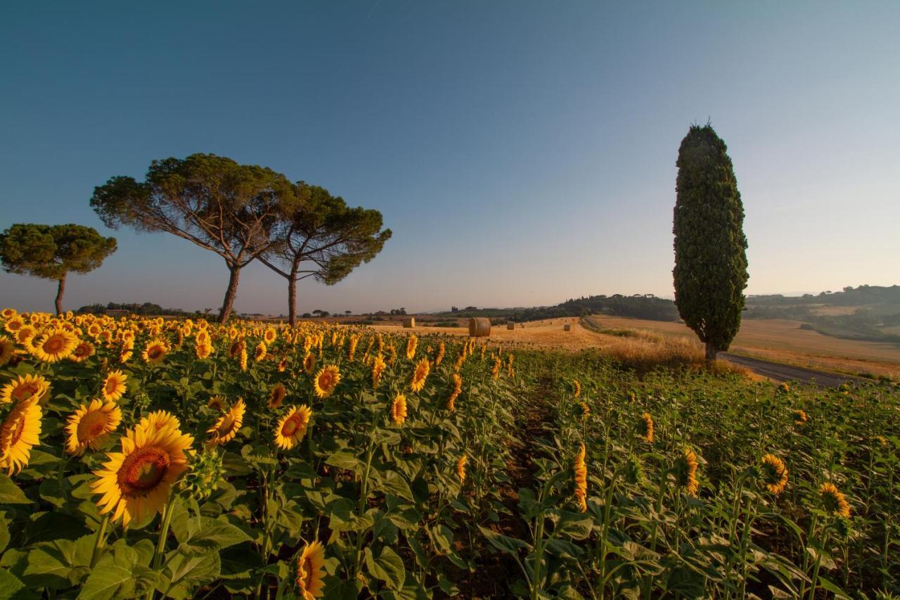 Cozzano *